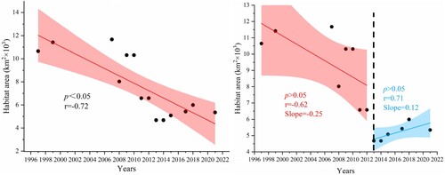 Figure 3. Area of shorebird habitat in the Yellow River Delta between 1997 and 2021. Red and blue shading represents the 95% confidence interval.