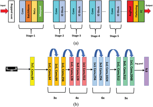 Figure 10. (a) Schematic representation and (b) overall architecture of ResNet-50 model.