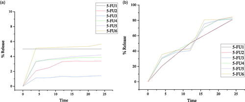 Figure 7. In vitro percentage release of (a) 5-FU loaded MMWCH- NPs in buffer pH 1.2, (b) 5-FU loaded MMWCH- NPs in buffer pH 7.4.