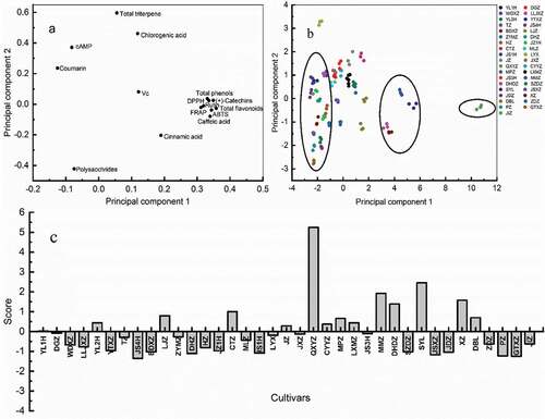 Figure 3. PCA of thirty-seven different jujube cultivars. (a) Loading plot of PCA, (b) scores scatter plot of PCA, and (c) Scores histogram of PCA