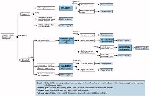 Figure 1. Treatment algorithm for idiopathic sudden sensorineural hearing loss based on an epidemiologic survey of a large Japanese cohort.