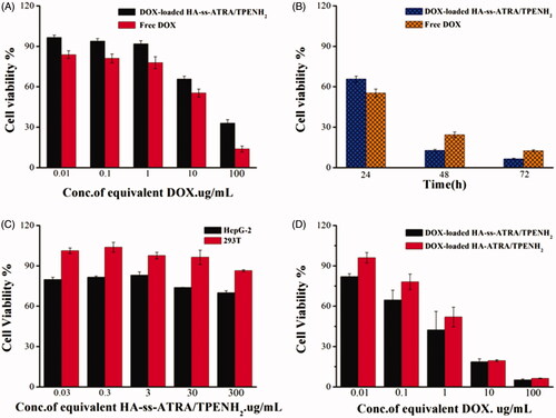 Figure 5. Cell viability of HepG-2 cells treated with DOX-loaded HA-ss-ATRA/TPENH2 HNPs and free DOX after 24 h (A). Cell viability of HepG-2 cells treated with DOX-loaded HA-ss-ATRA/TPENH2 HNPs and free DOX after 24 h, 48 h and 72 h (B). Cytotoxicity of blank HA-ss-ATRA/TPENH2 HNPs against HepG-2 cells and 293T cells (C). Cell viability of HepG-2 cells treated with DOX-loaded HA-ss-ATRA/TPENH2 HNPs and DOX-loaded HA-ATRA/TPENH2 HNPs (D). Cell survival fractions were assessed by MTT assay. Data represent mean ± SD (n = 5).