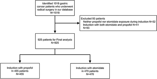 Figure 1 Case screening flowchart.