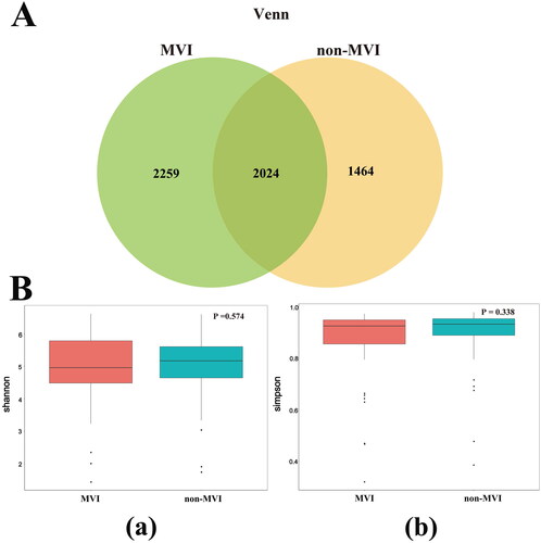 Figure 1. Identification of gut microbe using metagenomics analysis. (A) Venn diagrams show the common OTUs among MVI Group and non-MVI Group. (B) MVI Group and non-MVI Group comparison of α-diversity using shannon and simpson. *, 0.01<p ≤ 0.05. OTUs: operational taxonomic units; MVI Group: microvascular invasion Group; non-MVI Group: non-microvascular invasion Group.