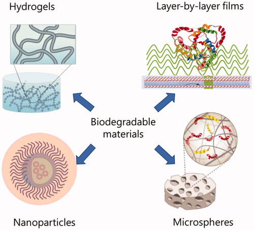 Figure 7. Nanoparticles (Saito & Takaoka, Citation2003), Scaffolds, Microspheres (Dinoro et al., Citation2019), Hydrogels (Hachim et al., Citation2019) based on biodegradable materials for delivering growth factors.