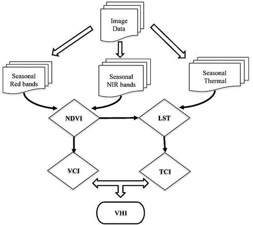 Figure 3. Flowchart of image processing and analyzing. Figure 3 should be shown in section 3.1. Image preprocessing.