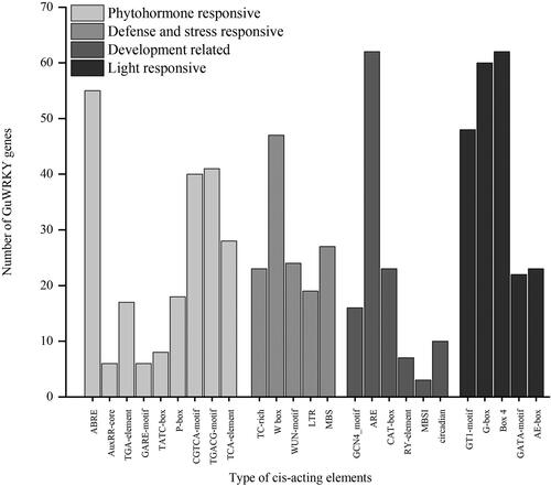 Figure 4. Cis-acting elements of GuWRKY genes. The PlantCARE database was used to predict the cis-regulatory elements 2.0 kb upstream of the start codon of each gene. Here, the x-axis shows the type of cis-acting elements, and the y-axis indicates the number of WRKY family members.