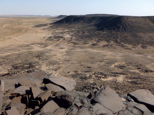Fig. 2. Looking down on the excavations and the Wadi Qattafi.