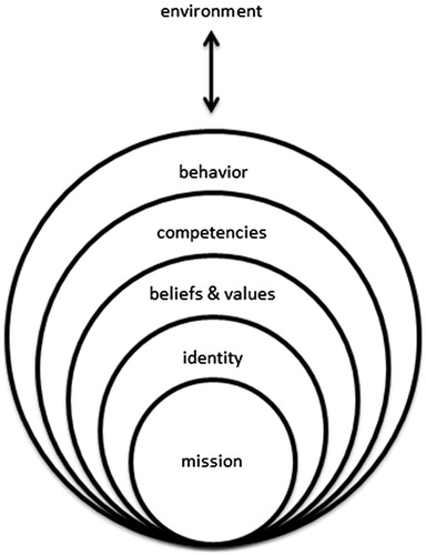 Figure 1. The multi-level professionalism framework.