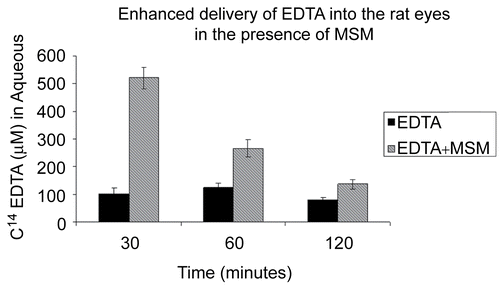 Figure 4.  C14-EDTA combined with and without the carrier MSM applied topically to rat eyes. MSM facilitated the delivery of EDTA into the aqueous.