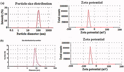 Figure 3. Particle size distribution (nm) and zeta potential (mV) of stability data for (a) MN loaded in PNCs (F1) and (b) MN loaded in LNCs (F6).