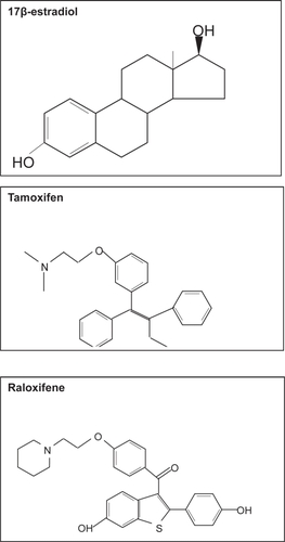 Figure 4 Molecular structure of 17β-estradiol, tamoxifene and raloxifene.