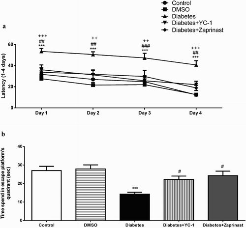 Figure 4. Morris Water Maze (a) Acquisition (b) Probe test performance separately the Control, DMSO, Diabetes, Diabetes + YC-1 and Diabetes + Zaprinast groups (n = 9 in each group). Diabetes resulted in a significant disruption in learning as indicated by an increase in the escape latency compared with the control animals in the acquisition test (two-way ANOVA, Bonferroni test, effect of treatment, ***p < .001). In addition, both YC-1 (##p < .01, ##p < .01, ###p < .001, ##p < .01, respectively) and zaprinast (+++p < .001, ++p < .01, ++p < .01, +++p < .001, respectively) treatments had a significant effect on acquisition latency in the MWM test in the first 1–4 days compared to diabetic rats. There was a significant difference between diabetes and control groups in the time spent in the correct quadrant during the probe trial of the MWM test (one-way ANOVA, Bonferroni test, F(4,40)=7.330, p < .001). Both YC-1 and zaprinast prolonged the time spent in the correct quadrant.