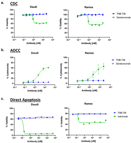 Figure 4. TNB-738 does not induce lysis of CD38-expressing cells. a) Daudi and Ramos cells were incubated with increasing concentrations of TNB-738 or daratumumab in the presence of 5% rabbit complement serum for 45 min at 37°C. Cell viability was measured using Cell Titer Glo 2.0. b) NK cells were isolated from PBMCs and incubated with Daudi or Ramos cells and increasing concentrations of TNB-738 or daratumumab for 4 h at 37°C. Tumor killing was evaluated by LDH release. c) Daudi and Ramos cells were treated with TNB-738 or isatuximab for 24 h at 37°C. After incubation, the cells were stained with 7-AAD and Annexin V. Cell viability was analyzed by flow cytometry.