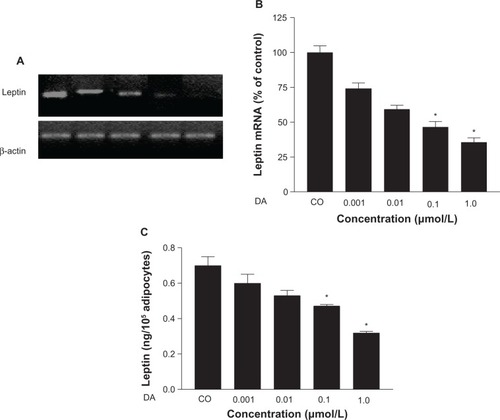 Figure 5 (A–C) Dose-dependent reduction of OB gene messenger ribonucleic acid (mRNA) and leptin release induced by dopamine (DA) in cultured human adipocytes of obese, hypertensive patients. (A) Representative bands of OB gene mRNA. (B) Percentage values (means ± standard error) of leptin mRNA in reference to control conditions. (C) Leptin release under different concentrations of DA in reference to control.