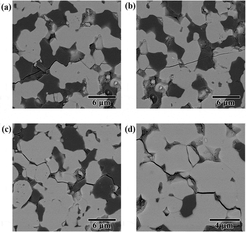 Figure 5. Indentation-induced crack paths in the polished surface of (a, b) ZS and (c, d) ZSC composites