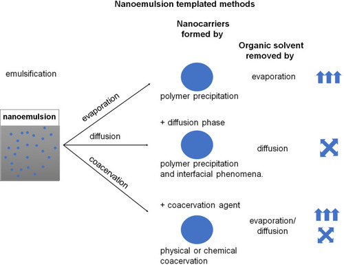 Figure 6 Schematic illustration of the nanoemulsion templated methods. Nanocarriers are formed by polymer precipitation, interfacial phenomena, or coacervation caused by organic solvent removal by evaporation or diffusion. Citation11 Citation13Data from Weiss et alCitation11 and Keech et alCitation13.