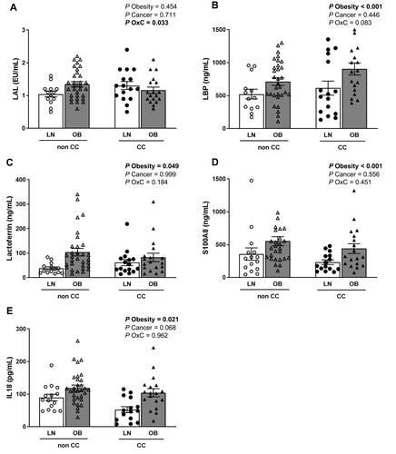 Figure 3 Circulating concentrations of factors affecting intestinal barrier integrity in obesity and colon cancer (CC). Circulating concentrations of (A) limulus amebocyte lysate (LAL), (B) LPS-binding protein (LBP), (C) lactoferrin, (D) calgranulin A and (E) interleukin (IL)-18 of lean (LN) and obese (OB) volunteers classified according the presence or absence of CC. Differences between groups were analyzed by two-way ANOVA. Bold values denote statistically significant P values. LN non CC: n=13-15; OB non CC: n= 31; LN CC: n=16; OB CC: n= 18.