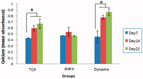 Figure 4. Calcium deposition in WJ-MSCs/scaffold constructs during the 21 days culture period in the three groups (TCP, scaffold in static condition, and scaffold in dynamic condition). Note that the calcium deposition on the scaffold in dynamic condition was significantly higher compared with two other groups (*p < .05), while on the scaffold in static had no significant difference during the 21 days.