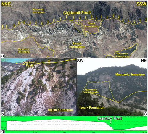 Figure 3. (a) 3D satellite image of the Çiğdemli Fault. Yellow arrows indicate the fault trace. (b) Claystones and limestones of İbecik Formation with high angles. (c) Quaternary talus deposits in front of the Kibyra Fault which was located to north-west of Kibyra. (d) S–-N topographic profile of the location where Çamköy Fault exists.