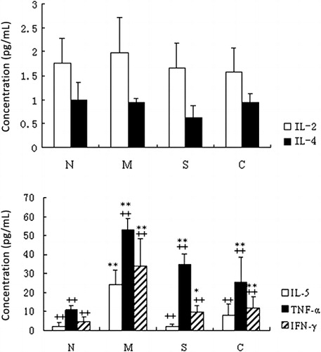 Figure 2. Quantification of the serum levels of IL-2, IL-4, IL-5, IFN-γ, and TNF-α measured by CBA in different experimental groups. The treatment and supplementation of the mice (n = 10/group) and the peripheral blood collection as described above (Figure 1). The concentrations of each cytokine were calculated based on the cytokine standards measured in parallel. N, healthy control group; M, model of UC control group; S, SASP group; C, CGMP group. Data shown are the means ± SD from ten samples. *P < 0.05; **P < 0.01 between the healthy control and other groups. ++P < 0.01 between the UC control and other groups.