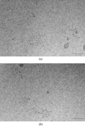 FIG. 5 Ag particles deposited on the transmission electron microscope grid at two different grid locations. The sampling inlet flowrate is 2 lpm, thermophoretic flowrate is 0.015 lpm, temperature gradient is 4.7 × 105 K/m, and the sampling time is 90 minutes.