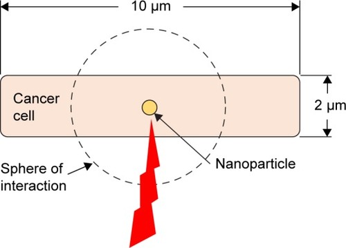 Figure 1 Analytical simulation scheme, where a single nanoparticle is at the center of a cell modeled as a slab of tissue.