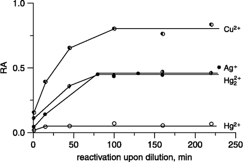Figure 7 Reactivation of metal ions-modified urease by dilution.