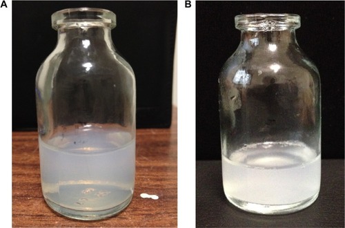 Figure 3 The sample did not aggregate and still had the appearance of a milky white colloidal solution after being dissolved in phosphate-buffered saline (pH 7.4) and kept at 4°C for (A) one month and (B) two months.