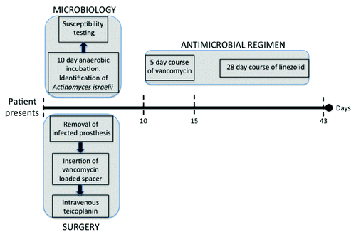 Figure 2. Initiation and duration of antimicrobial therapy.