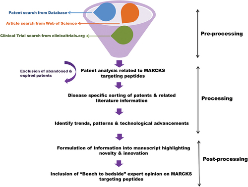 Figure 1. Schematic diagram showing the workflow for patent analysis and manuscript drafting related to MARCKS-targeting peptides.