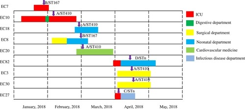 Figure 1 Timeline of outbreak of NDM-5-producing E. coli in 8 infants in a Children’s hospital. Labels at the left side represent E. coli isolate IDs, including 2 (EC3 and EC30) obtained from the same patient. The different colors of the bars represent the different departments in which the patients were hospitalized (as shown at the top right), with the length of the bars representing the period of hospitalization. Four patients (for isolates EC10, EC8, EC27, and EC82) were hospitalized in 2 or more departments. The purple arrows indicate the dates of sampling.