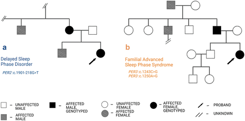 Figure 3. (a) genetic pedigree of the family in which PER2 variant was detected: c.1901-218 G > T, dark-colored are genotyped family members who presented with DSPD. (b) Genetic pedigree of the family in which variants (c.1243C > G and c.1250A > G) in the PER3 gene were detected, dark colored are genotyped members with a clinical picture of extreme morning chronotype. Created using Biorender.