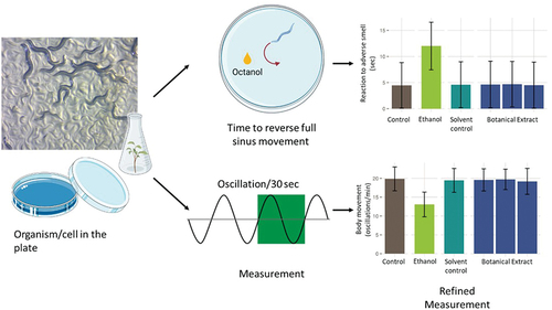 Figure 4. Schematic diagram showing the types of neurobehavioral assays performed with C. elegans larvae, such as the reaction to adverse smell and body movement assays.