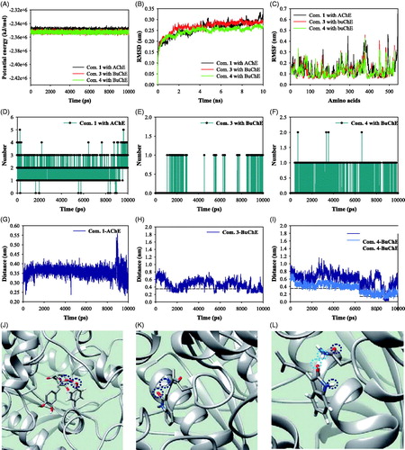 Figure 4. The potential energy (A), RMSD (B), RMSF (C), and hydrogen bonds (D–F) of respective compounds 1, 3 and 4 with receptor for 10,000 ps. The distance (G–I) of respective compounds 1, 3 and 4 with key amino acids (J–L).