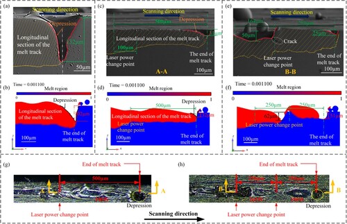 Figure 8. Comparative illustration of variable power printing strategy versus constant power printing: experimental and simulation. Longitudinal cross-sectional views of the (a) experimental and (b) simulated melt tracks with laser power maintained at 340 W. Longitudinal cross-sectional views of the (c) experimental and (d) simulated melt tracks using the ‘step’ variable power method. Longitudinal cross-sectional views of the (e) experimental and (f) simulated melt tracks using the ‘gradual’ variable power method. (g) Top view of the experimental melt track with the ‘step’ variable power method. (h) Top view of the experimental melt track using the ‘gradual’ variable power method.