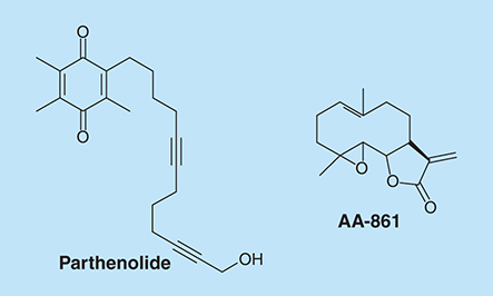 Figure 15.  Molecules that interfere with the formation of amyloid-like fibers.