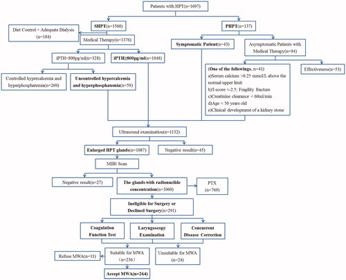 Figure 1. Flow chart shows patient selection criteria. The bold sections are the inclusion criteria of MWA. iPTH: intact PTH; MIBI: technetium 99m (99mTc) sestamibi.