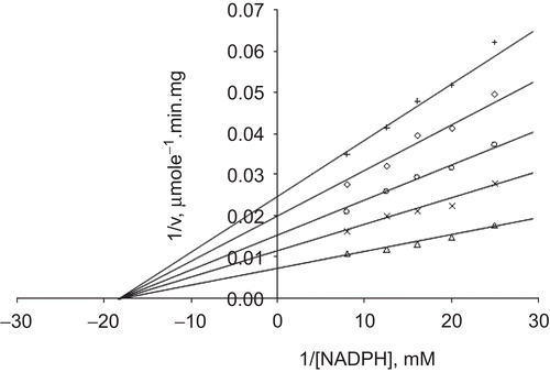 Figure 3.  Lineweaver–Burk double reciprocal plot of initial velocity against NADPH as varied substrate and Cd2+ (0–0.25 mM) as inhibitor at fixed GSSG (0.7 mM) concentration. ▵ 0.7 mM GSSG (constant), ×0.1 mM Cd2+, ○ 0.125 mM Cd2+, ◊ 0.15 mM Cd2+, + 0.25 mM Cd2+.