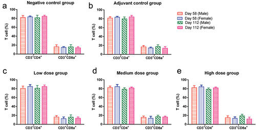 Figure 2. CD3+CD4+ and CD3+CD8a+ T-cell counts and ratios in mice.
