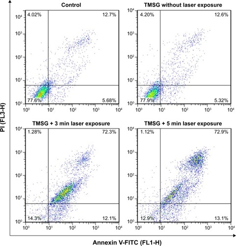 Figure 12 Flow cytometry analysis of MDA-MB-231 cells after photothermal therapy treatments under different treatment conditions.Notes: The living cell fraction is negative for both Annexin V-FITC and propidium iodide. An earlier stage of apoptosis is linked with positive Annexin V-FITC labeling only. Double-stained cells were considered as necrotic/late apoptotic cells. The concentration of TMSG was 70 μg/mL, and the power density of laser irradiation was 3 W/cm2.Abbreviations: TMSG, tLyp-1 peptide and polyethylene glycol-comodified mesoporous silica-coated gold nanorods; PI, propidium iodide; FL, fluorescence; MDA-MB-231 cells, MD Anderson-metastatic breast-231 cells; min, minutes.
