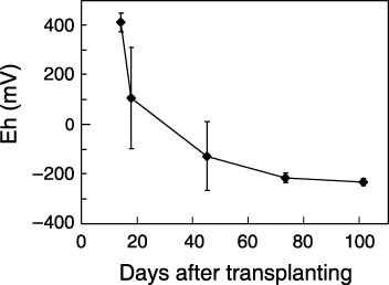 Figure 3  Mean soil redox potential (Eh, mV) during the experimental period from 0 to 100 days after transplanting. Error bars represent the standard deviation.