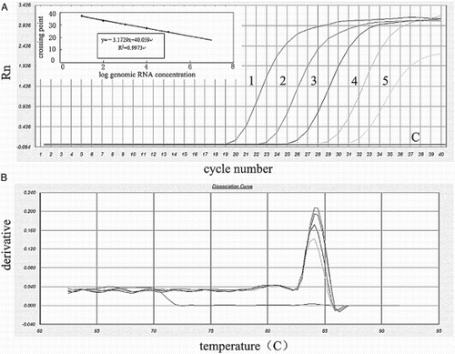 Figure 3. Detection sensitivity of Q-RT-PCR using 10-fold serial dilutions of genomic RNA. (A) Detection sensitivity of Q-RT-PCR. line 1, 100 pg/tube genomic RNA (CT, 19.1); line 2, 10 pg/tube genomic RNA (CT, 22.5); line 3, 1 pg/tube genomic RNA (CT, 25.9); line 4, 100 fg/tube genomic RNA (CT, 29.3); line 5, 10 fg/tube genomic RNA (CT, 31.4); and line C, D/W. The standard curve (insert) was generated using logs of genomic RNA concentration versus cycle threshold of each sample. (B) Representative SYBR Green dissociation curves of amplified products to determine the melting temperature values.