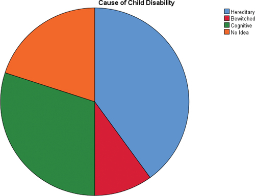 Figure 2. Parents’ perception of their children’s disability cause.