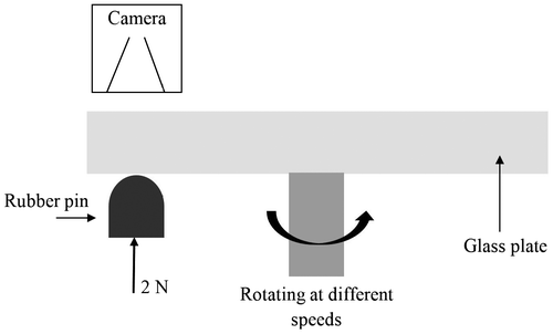 1 Schematic of the experimental set-up