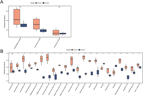 Figure 12 Immune infiltration analysis for two PI subtypes. (A) Comparison boxplot of ESTIMATE immune scores in two PI subtypes. (B) Comparison boxplot of ssGSEA immune cell infiltration across two PI subtypes. Orange represents Cluster 1, and blue represents Cluster 2. “*” denotes p-value < 0.05, “**” denotes p-value < 0.01, “***” denotes p-value < 0.001.