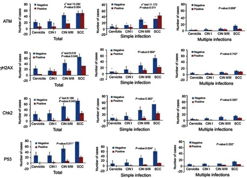 Figure 5 The activation of DNA damage response in study groups. *P-values are for Fisher’s exact tests.