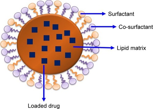 Figure 1 Schematics of SLN.Abbreviation: SLN, solid lipid nanoparticle.