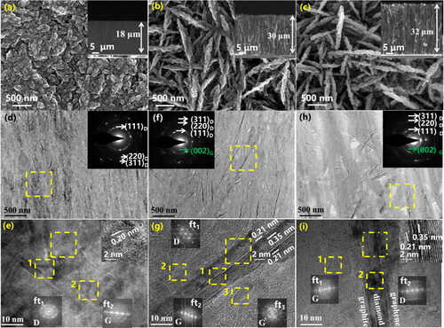 Figure 1. (a)–(c) the SEM images of the films at VDG600, VDG700, and VDG800, respectively (The illustration shows the cross sectional SEM images). (d)–(f) the TEM profile images of VDG600, VDG700, and VDG800 films, respectively.