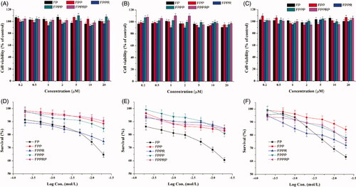 Figure 4. In vitro cytotoxicity of the FP, FPP, FPPR, FPPP and FPPRP in NHCs (A), HCECs (B) and HUVECs (C) at concentrations that ranged from 0.2 to 20 μM for 6 h. Cell viability of NHCs (D), HCECs (E), and HUVECs (F) following 24 h incubation with increasing concentrations of various NCs as determined by the MTT assay. (n = 5, mean ± SD).